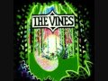 The Vines - Autumn Shade 