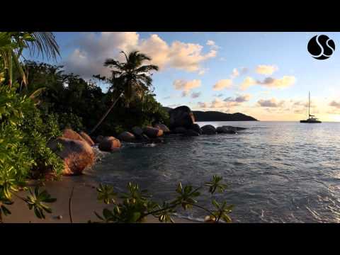 Dub FX - The Rain Is Gone (feat. Flower Fairy)