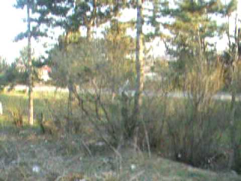 Plecare din statia Suceava Nord catre Suceava