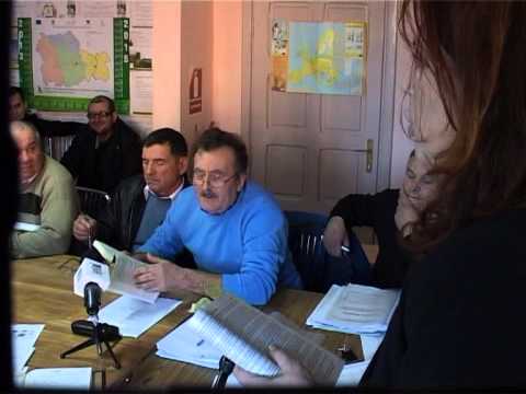 Sedinta Borlesti in curand