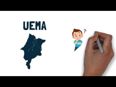 Inscrições abertas para Processo Seletivo Simplificado do PROFITEC - UEMA 2022