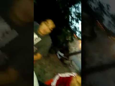 "ADO VS REACTOR" Batalla de de ley del patio