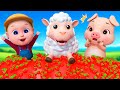 Baa Baa Black Sheep Song | Newborn Baby Songs | Super Sumo Nursery Rhymes & Kids Songs