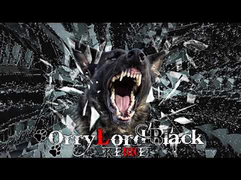 Orssy Orrylordblack (5 years ,9 months)-Protection 1/2021