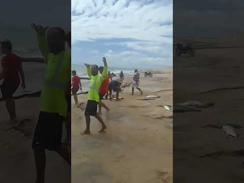 a pesca do xaréu no em caiçara Rio grande do Norte