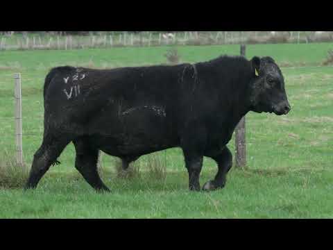 Lot 23  SEVEN HILLS V23 PV