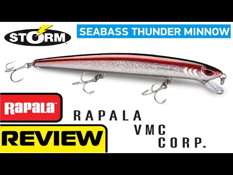 STORM SEABASS THUNDER MINNOW WITH UNDERWATER LURE ACTION SCENE | DETAIL REVIEW|RAPTOR FISHING TACKLE