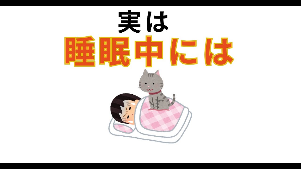 【今日から使える】雑学詰め合わせ集【面白い雑学】