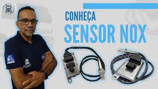 u029e explicação detalhada