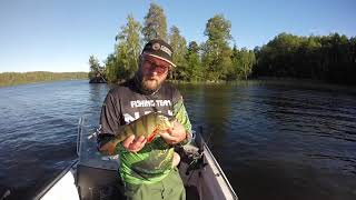 preview picture of video 'Juttern  Sweden 2017 Predator Fishing'