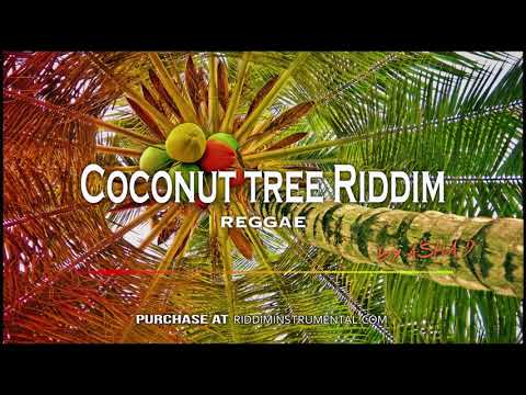 Coconut Tree Riddim - Reggae Instrumental - Riddim Instrumental by Asha D