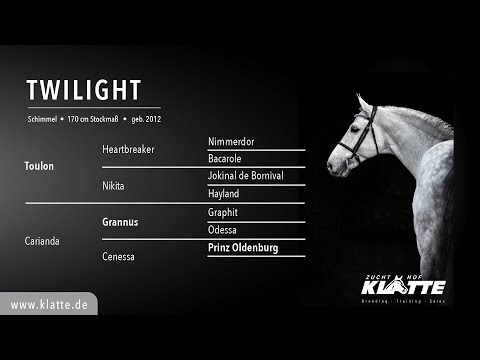 TWILIGHT v. Toulon x Grannus x Prinz Oldenburg - Hengste 2021 - www.klatte.de