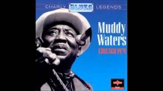 Muddy Waters - Everything Gonna Be Alright (live)