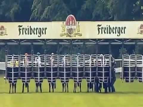 Horse racing in Bad Doberan