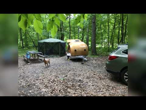 Take a drive through camp and see some highlights 