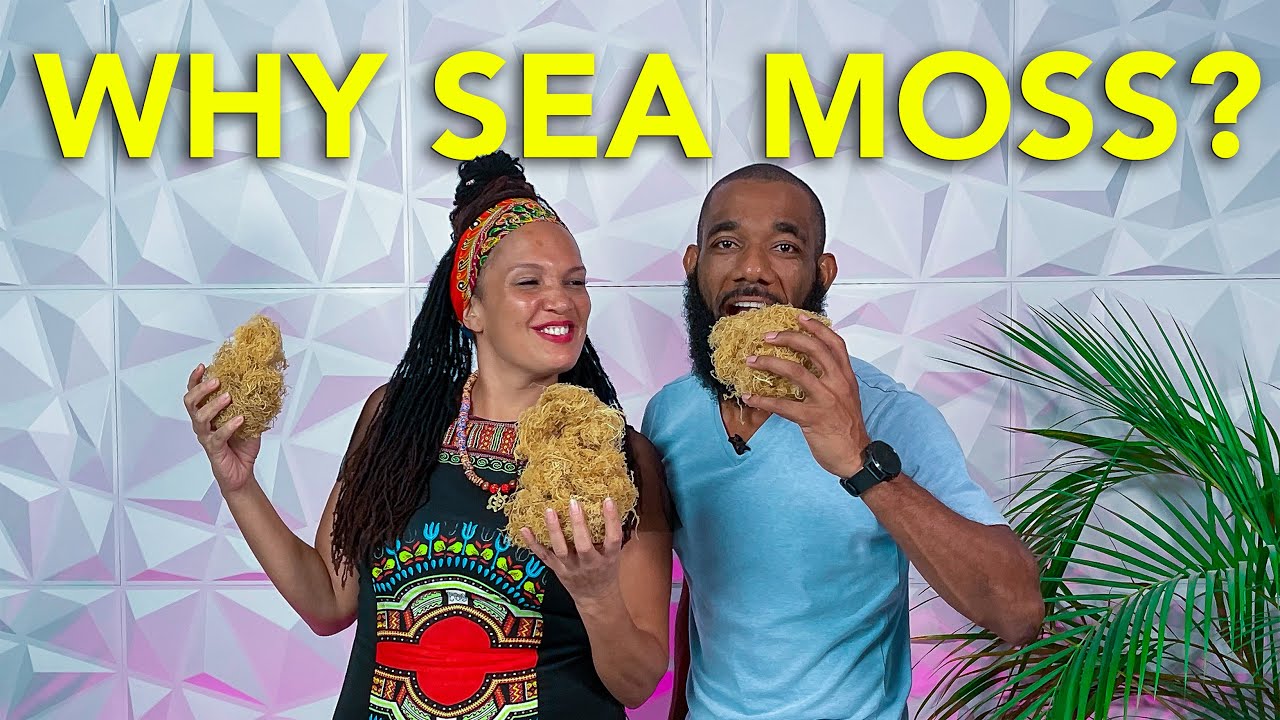 Jamaican Sea Moss | The Superfood of 2022