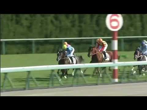 2017.12.03 2yo Newcomer (JPN) - Mikki Wild