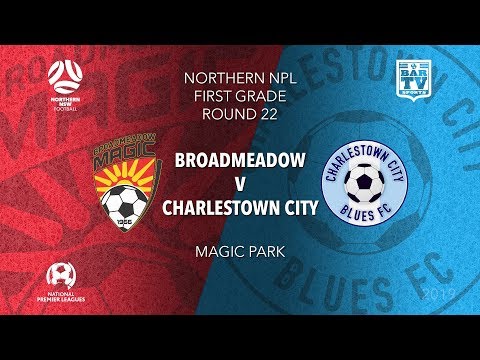 2019 NPL Northern NSW U20's and 1st Grade - Round 22 - Broadmeadow Magic v Charlestown City Blues