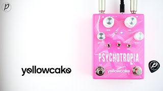 Video thumbnail for Yellowcake Pedals Psychotropia Sample/Hold Filter by Pedal of the Day