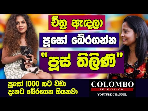 මගේ ගෙදර පූසෝ 60 දෙනෙක් ඉන්නවා l Inspirational Story of Thilini Gamage: Rescuing Street Cats