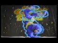November 1989 Sesame Street Live Silly Dancing Beacon Theater Show Commercial