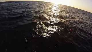 preview picture of video '2013 Hurghada Dive Safari - Red Sea - Part I'