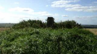 Tilly and The Wall in a cornfield