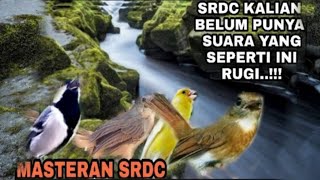 Download lagu PALING CEPAT MASUK PAKAI INI..MASTERAN SRDC DURASI PANJANG , MATERAN SRDC FULL ISIAN, SRDC GACOR mp3