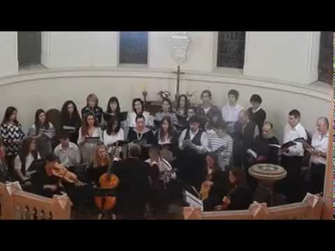 SEÑORA DE HERMOSURA (Juan del Encina)