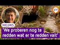 Valt AARDAPPELOOGST in het WATER door REGENVAL? ?️?