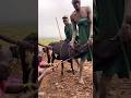 Mursi Tribe Africa Shorts Ethiopia Omovalley Omoadvisor Omoriver Short Shortvideo