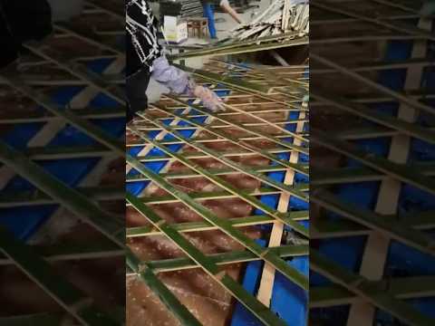 Bamboo fence production process #garden #farmingtraditions #fruitsfarm
