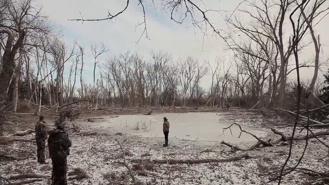 Teaser // Hooray Ranch