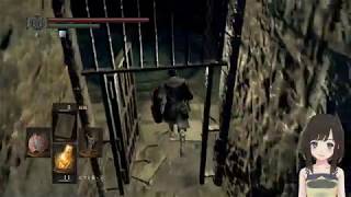 【DARK SOULS REMASTERED】 初心者さん向け実況♯8