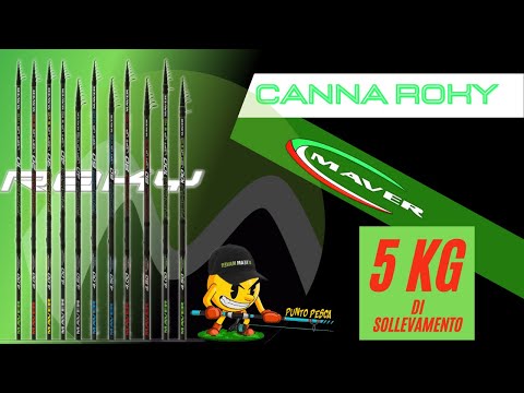 Maver Rocky Universal Telematch 4.5m 100g