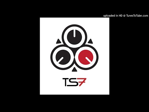 TS7 feat. T.Dot - Ding Dong *4x4 Bassline*