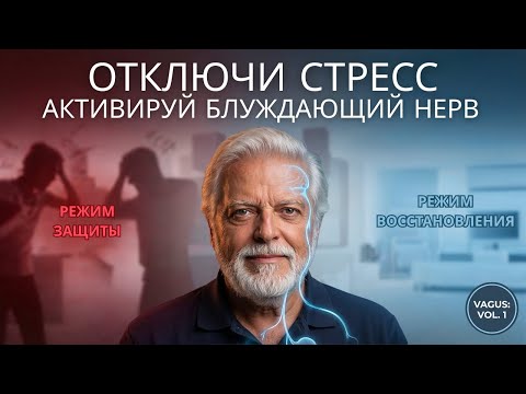 Блуждающий нерв: выключатель стресса и ремонт вашего ДНК