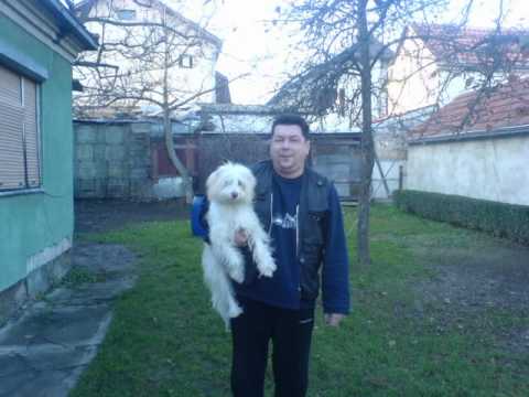 Zoki i bend Posle svega- Violino ne sviraj