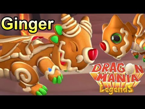 GINGER DRAGON BREEDING GUIDE! How to Breed the Ginger Dragon DML! (DOTW 18-25th Dec)