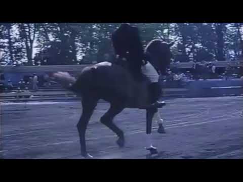 Démonstration d'Henri Chammartin en 1964