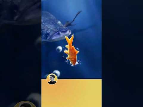 Chú cá vàng sống sót thần kỳ sau 7 năm dưới hầm tối 🐟 #kiếnsĩ #shorts