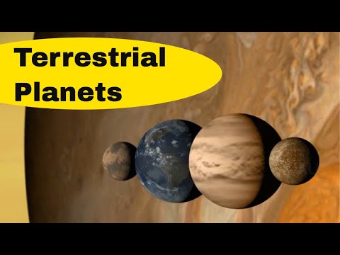 Terrestrial Planets in Order