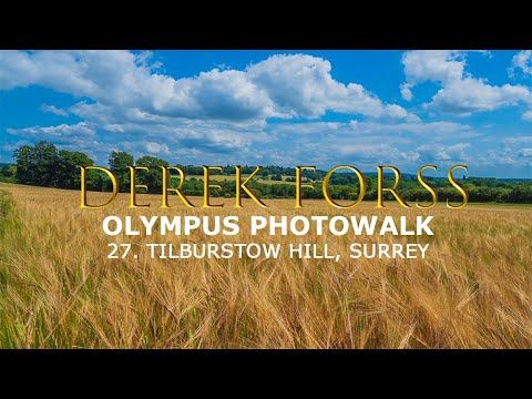 Olympus Photowalk with Derek 27 Tilburstow Hill