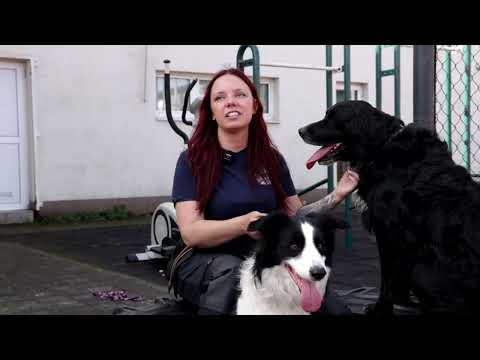 Tihi heroji koji svakodnevno spašavaju živote: Upoznajte K9 tim DVD-a Zapad