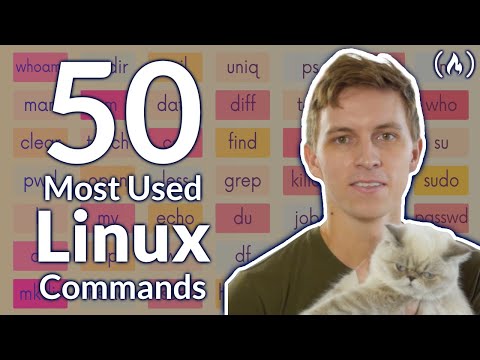 image-What are the commands for Linux? 