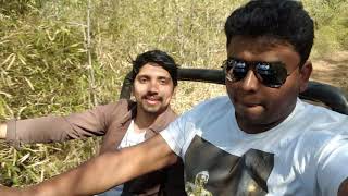 preview picture of video 'Glimpses from Tadoba Trip - MotoKrazy'