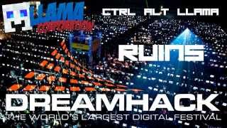 Llama ruins Dreamhack, EP1:Airport antics