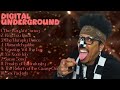 Fool Get a Clue-Digital Underground-Best of Hits 2024 Collection-Neutral
