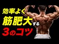 【筋トレ】効率よく筋肥大させるための3つのコツ【ビーレジェンド プロテイン】