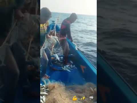 Kalpakkam 🔥💥Beach 👑 UK Ariya🎗️💯❤️